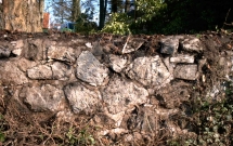 Verwitterte Natursteinmauer vor Wiederaufbau, von Efeuwurzeln zerst