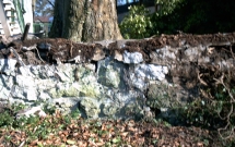 Verwitterte Natursteinmauer vor Wiederaufbau, von Efeuwurzeln zerst